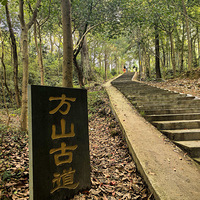 ��ԽѾ����