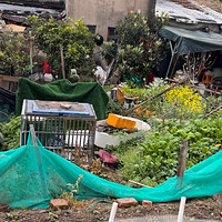 �����ű����յľɴ����Υ������Ѽ����