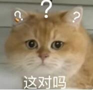 ��������ס������ĸˢ���˶���Ƶ����Ȼ��ʼ��Ӧ�����ʡ���