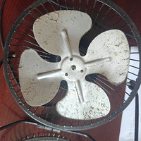 ��ϴС����