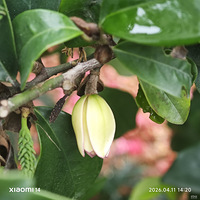 �������Ϣ��ֲ���