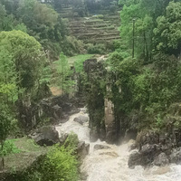 ���������ڷ߸� ������ݵ���