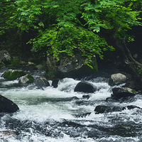 ϲ����ɽ��˭��ûȥ������