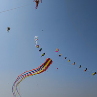 �������ź���԰���ݴ�ŷɱ���