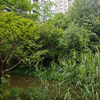 �������翪ʼ��С��