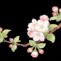 ̨�ݡ������������ߣ���һ����