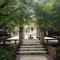 �����µ�ǽ��������