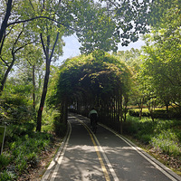 ��������ɽ��԰����