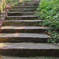 ���ŵ���