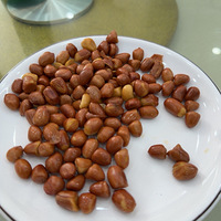 �������ʲô�����С���겻��