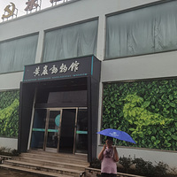 ����ٴ��ޡ����޵����Ҷ��������ѧϰ
