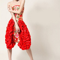 �����л��С�ǰ����ʽ��� ��ʽ������������