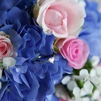 ʡǮ������ �ԼҺ�Ժ��ˮ��ɫ����