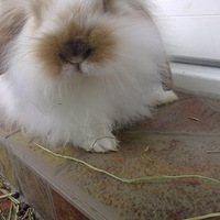 С����---�޳����� �ư���ò������MM