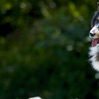 ��Ҳ��ð���ݡ����뷲��ľ���