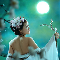 �����ĵĹ�װŶ������Ư��