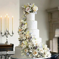 ���񵰸⣺����һ�������ۣ�