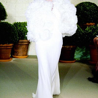 2011ŦԼ��ɴ��ϵ��