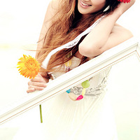 ���������黳