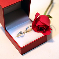 ������ҵĻ���