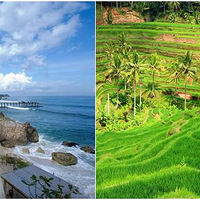 �������ڲ������ع⣺ʷ����ţ��ȫ��ʮһ�����ֲᣡ