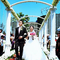 Ψ������ �������º�ʽ����