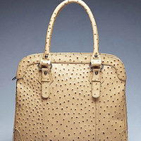 �����ݻ���ŷ������