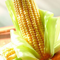 �����Ŷ���10��ʳ���ȥ����֬��