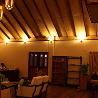 ��ָ��ɹ�Ҹ���������������