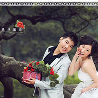 ��ֲ��԰/��խ���ӣ��⾰PP��¯