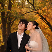 �����ױȵĺ�ʽ��ɴPP