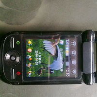 ƶıҵƶshow