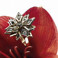 �����绨����������ָ��ʤ��