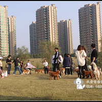 11��7�գ����գ���������㳡�޹������Ƭ���ϣ�