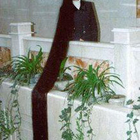ͼ¡ǳ˵Ŷ
