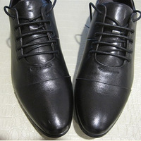 �����������ʲô������Ư��