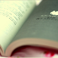 �����Ϲ������