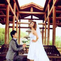 ����ɹд���