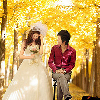 ���ռ��ڣ��ҵİ���Ҳ����