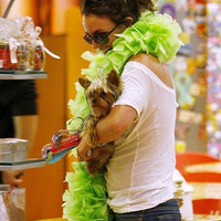 ���߱����̵��ʮ���������ĳ��� ��Ҳ������