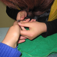 11.01.15���׹���