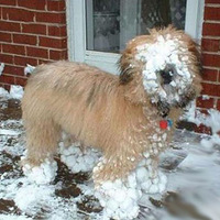 �����ǵĳ���˲��