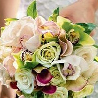 �Լ�Ҳ��������������������Ŷ