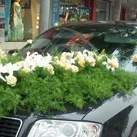 ���죬�ٻ���Űټ�����