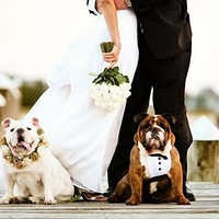 ������ĳ���ȥ�Ļ�ɴ�գ�