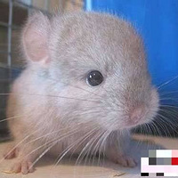 ����С���� ���㿪��һ���죡��