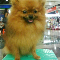 Ѱ����ʾ��1���ɫС������