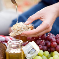 ���ʳ�� ������ɫ��˥��