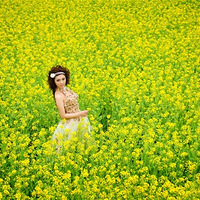 �F���Ļ鼆�ն������Ͳ˻��ɣ�