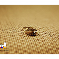 �����ҳ�����������